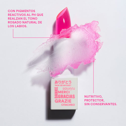 Cargar la imagen  en la vista de la galería