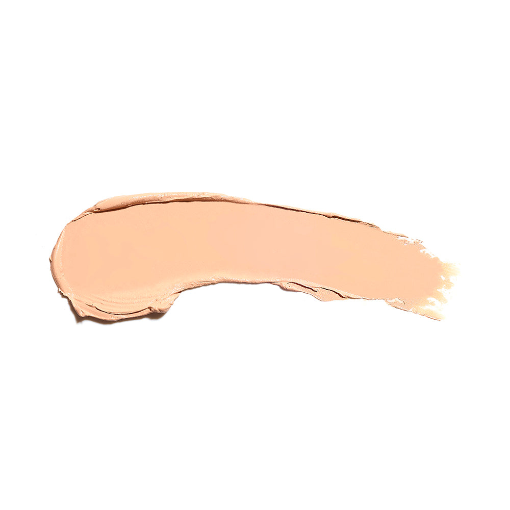 the full concealer 609