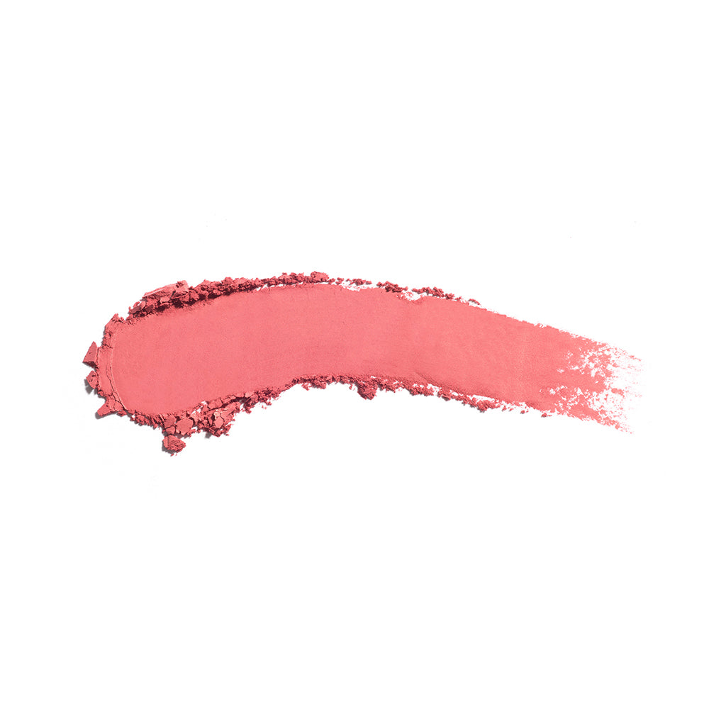 the no-rules powder 362